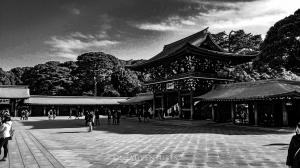 Tokyo _ Temple in Yoyogi Park