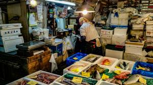 Tokyo _ Tsukiji Fish Show